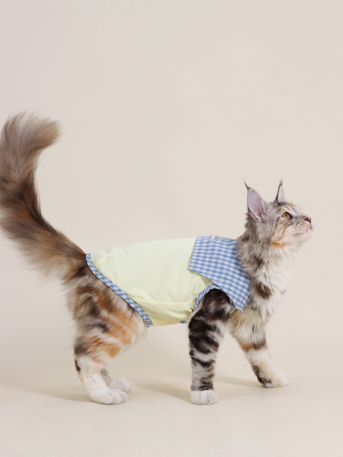 ♥A Cute Lemon♥ Outdoor Cooling Vest with UPF >50