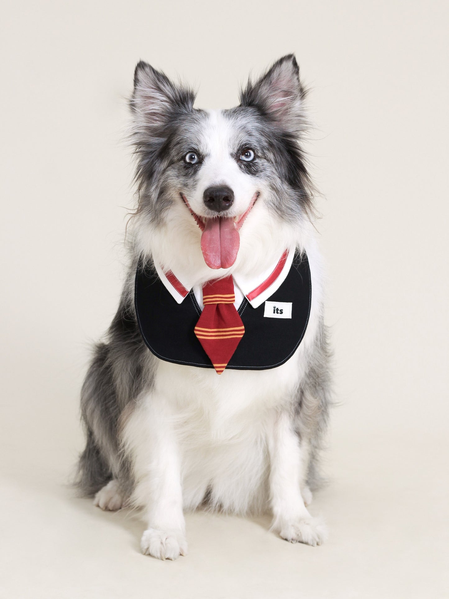 ♥College Red♥ Drool Bib with College Style
