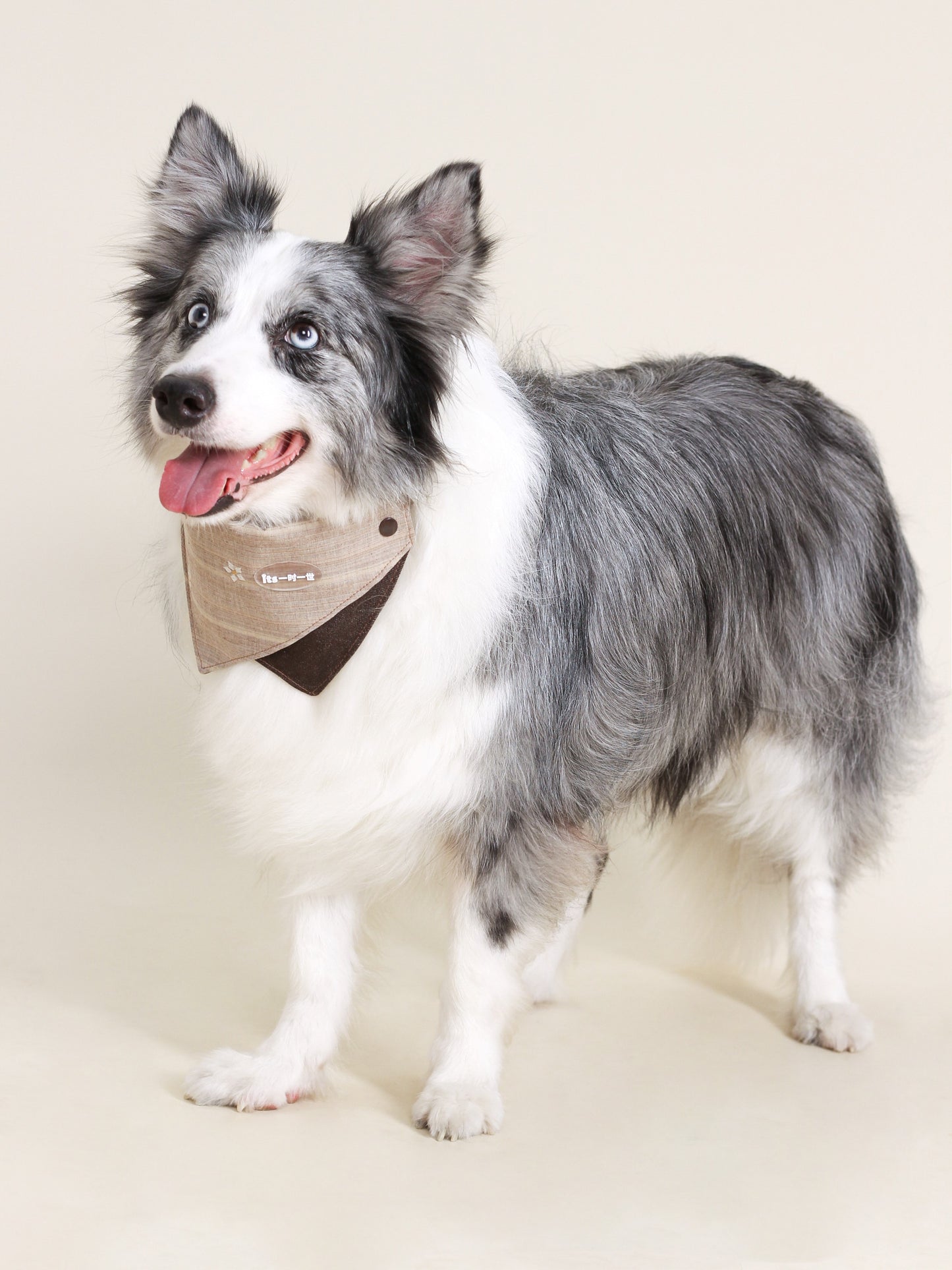 ♥Cowboy is Coming♥ Outdoor Hat & Drool Bib with Cowboy Look