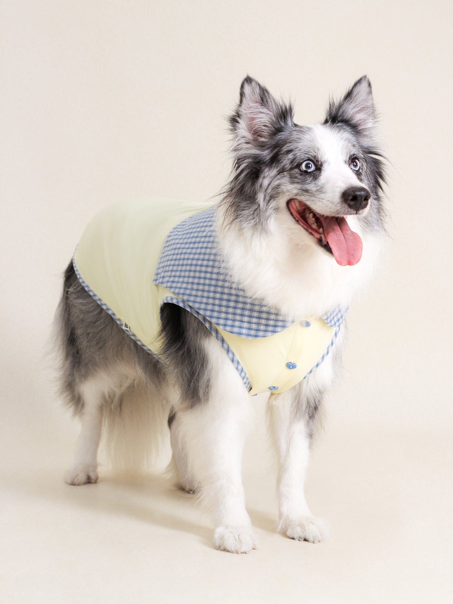 ♥A Cute Lemon♥ Outdoor Cooling Vest with UPF >50