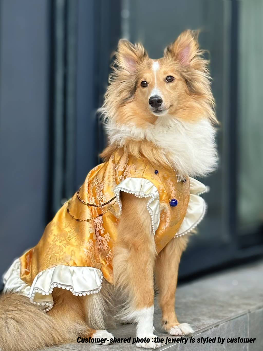 ♥Money Money Come to Me~♥ 「Auspicious Gilt」Prosperity Attire: Neo-Chinese Style Cat & Dog Apparel,Feng Shui-Inspired/Hand-made/Limited Edition