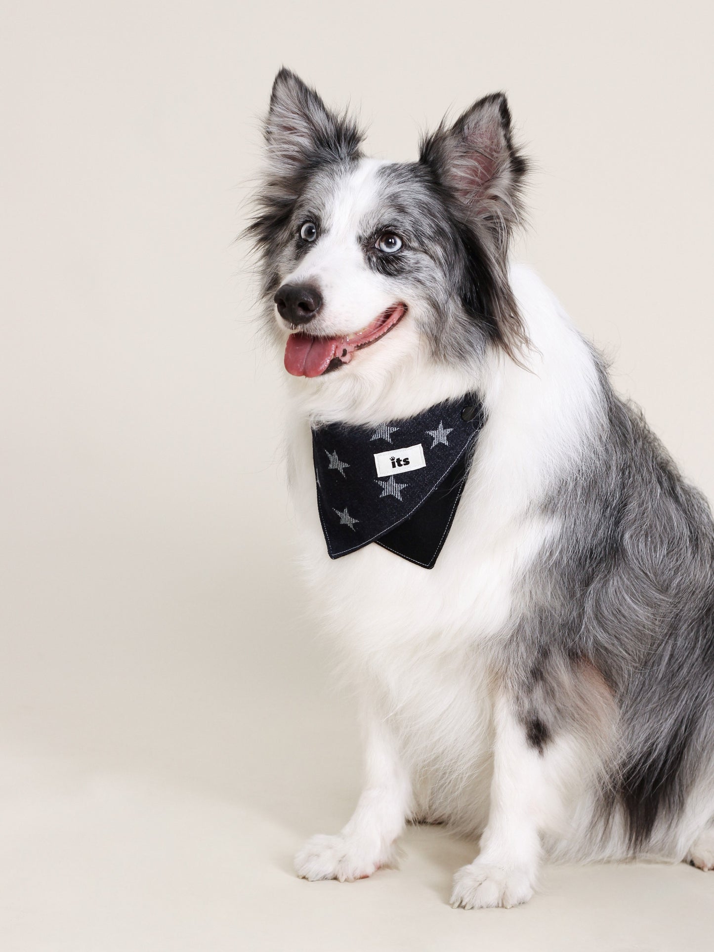 ♥Stars Lover♥ Outdoor Hat & Drool Bib with Cowboy Look