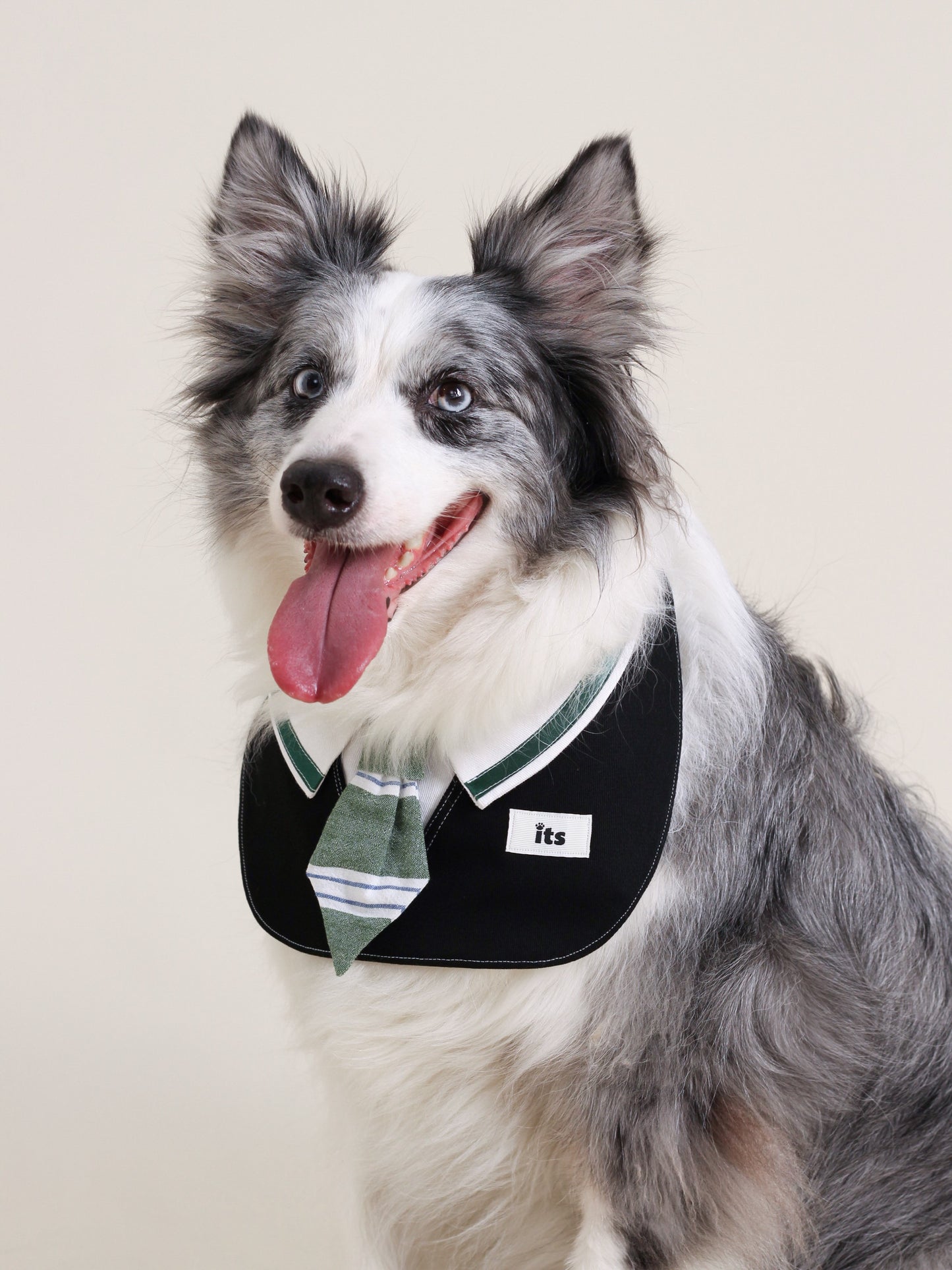 ♥College Green♥ Drool Bib with College Style