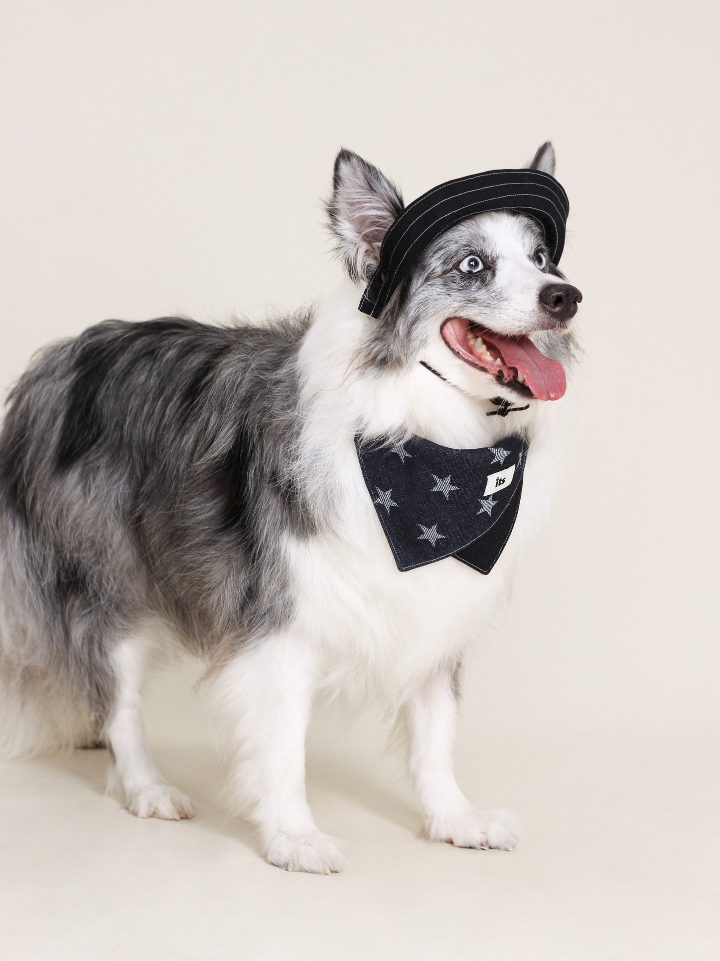 ♥Stars Lover♥ Outdoor Hat & Drool Bib with Cowboy Look
