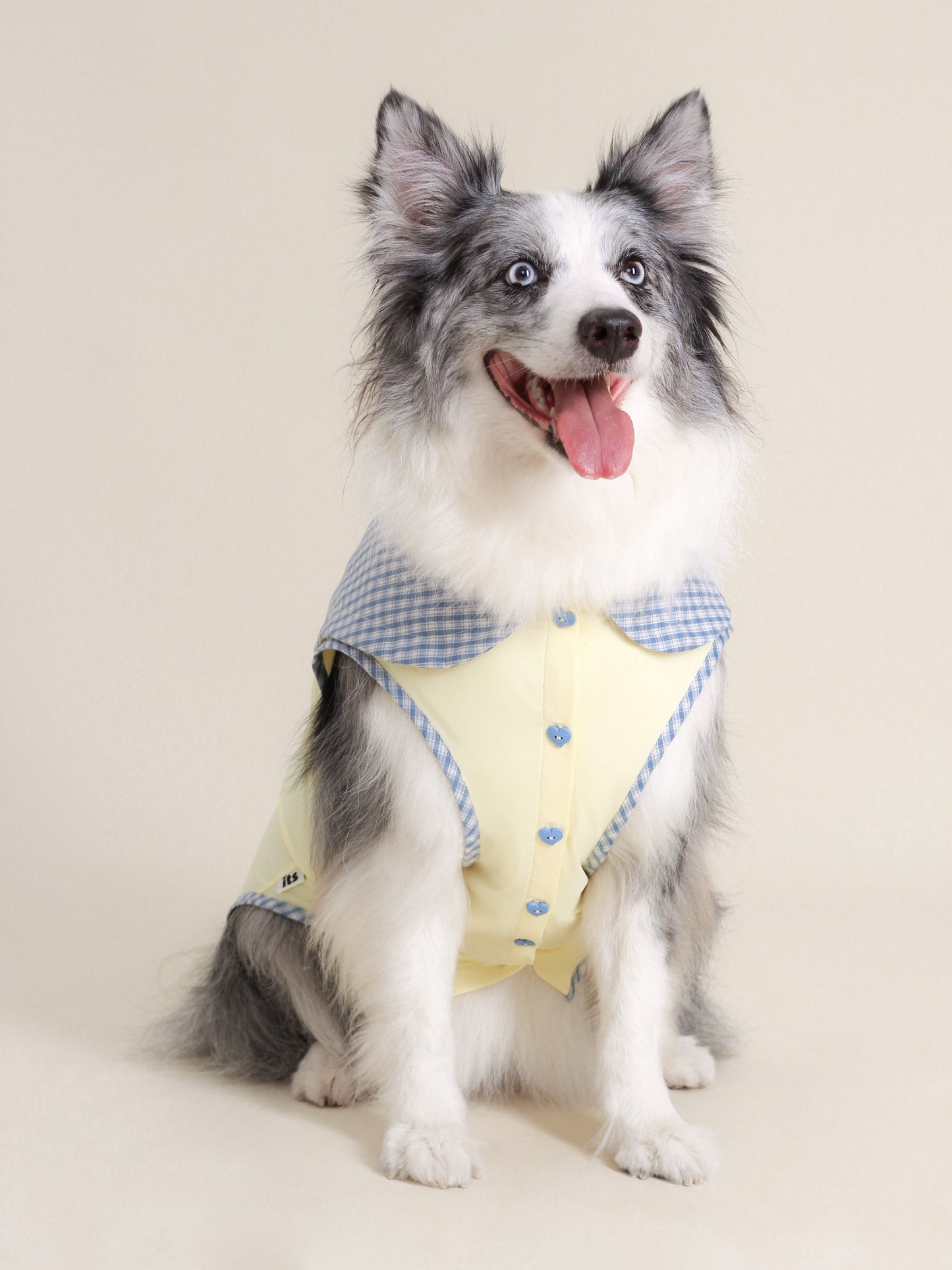 ♥A Cute Lemon♥ Outdoor Cooling Vest with UPF >50