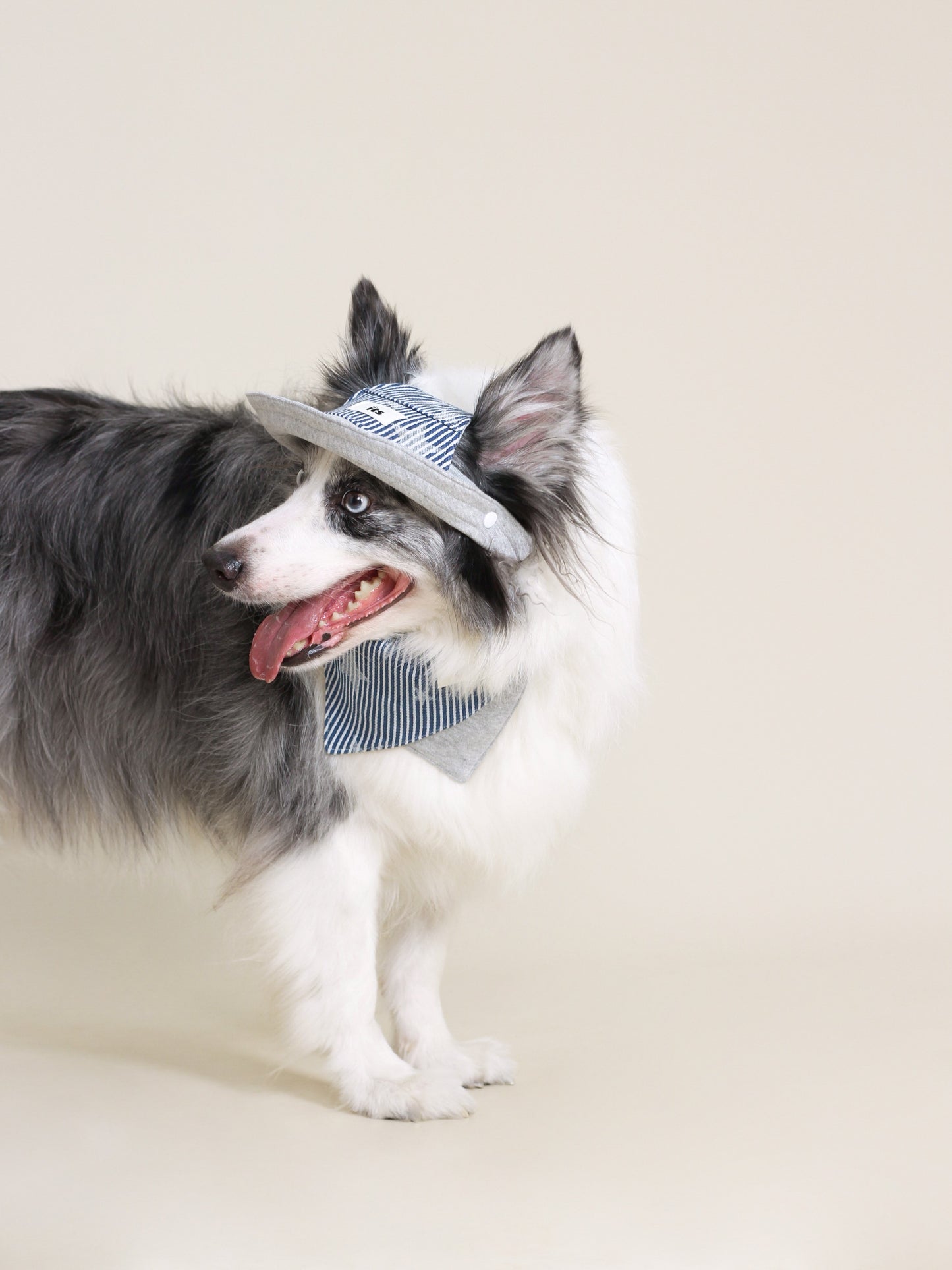 ♥Baseball Caddy♥ Outdoor Hat & Drool Bib with Strips & Stars