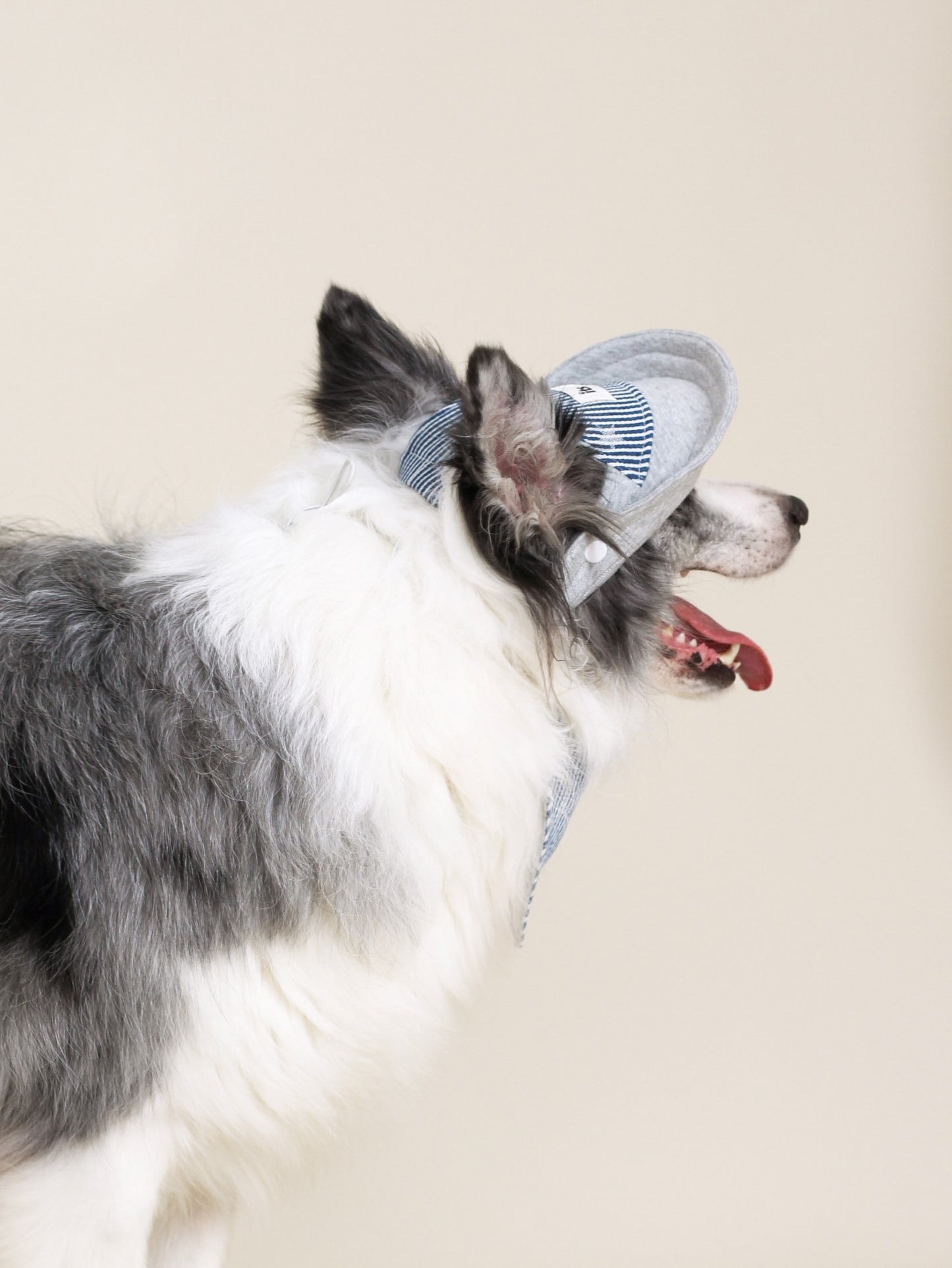 ♥Baseball Caddy♥ Outdoor Hat & Drool Bib with Strips & Stars