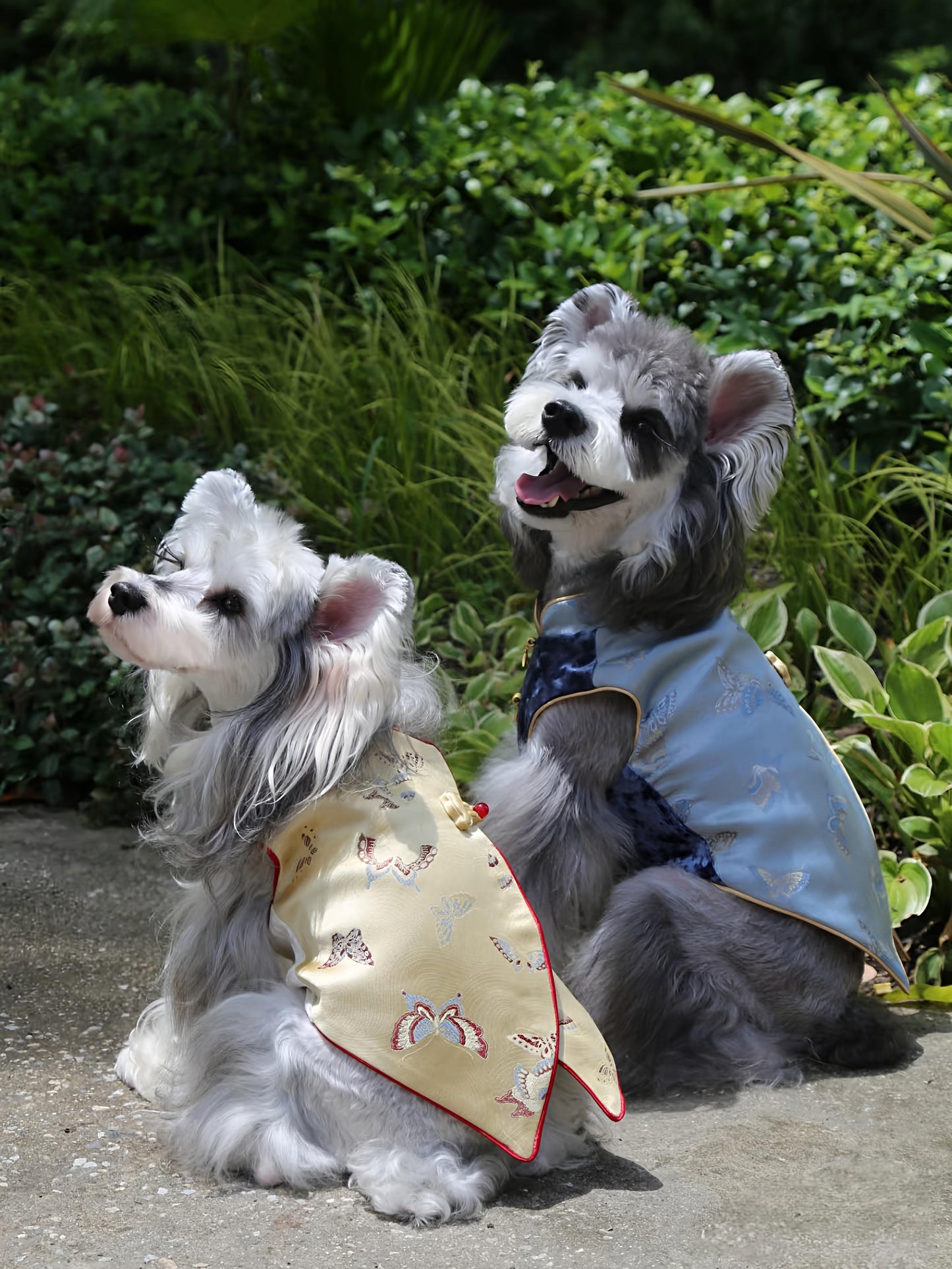 ♥Perfect Match~♥ 'Butterfly Perched on Bamboo' Neo-Chinese Style high-quality vest, unisex for cats and dogs,Hand-made/Matching Set