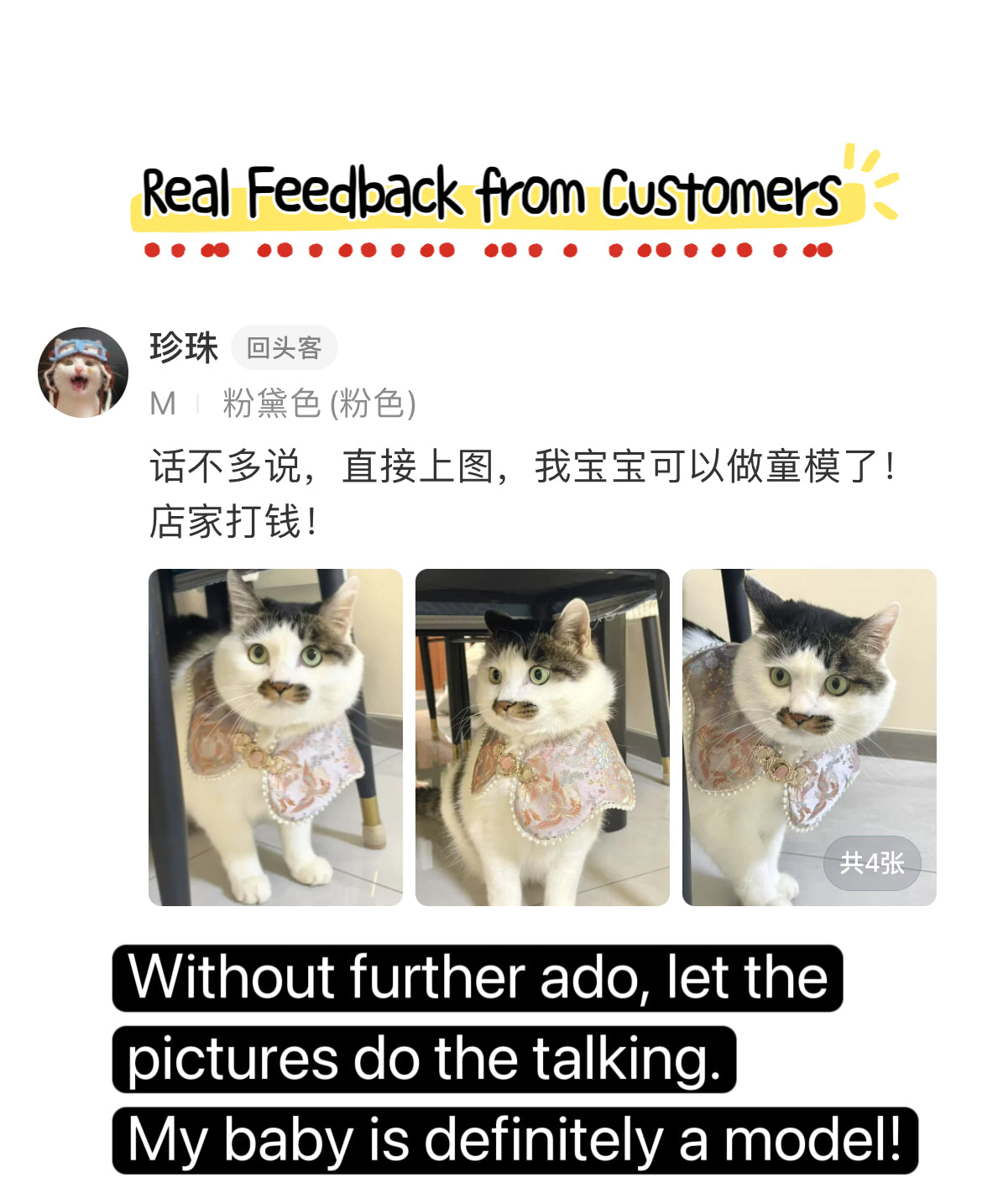 ♥Queen's Arrival~♥ Neo-Chinese Style Cat & Dog Cloud Collar Bib, Hand-made/Limited Edition