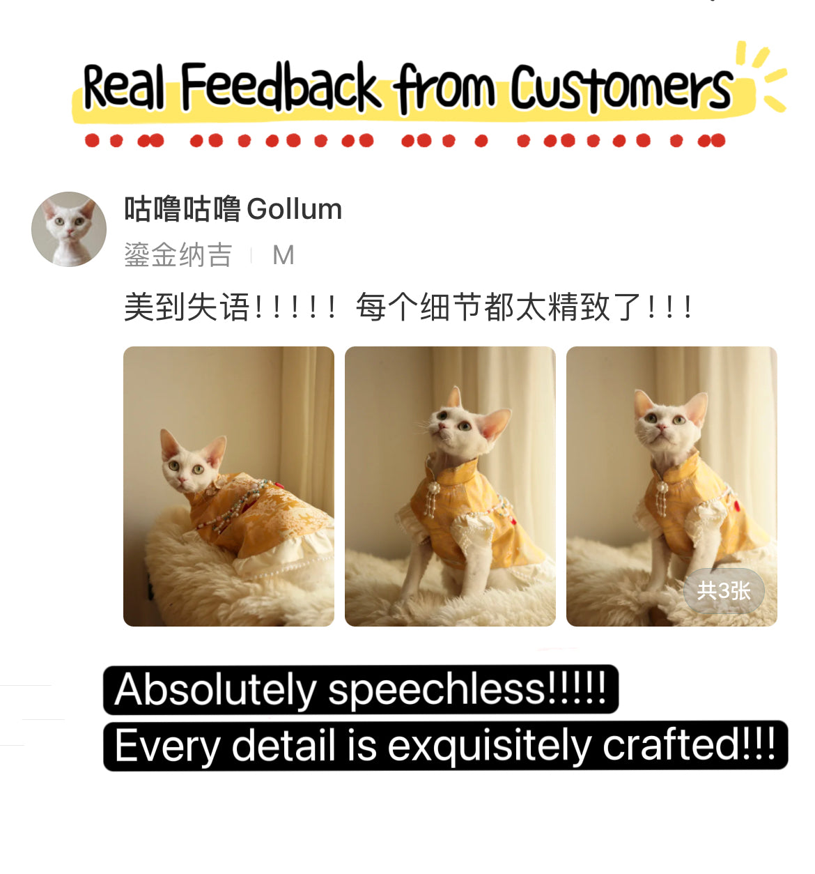 ♥Money Money Come to Me~♥ 「Auspicious Gilt」Prosperity Attire: Neo-Chinese Style Cat & Dog Apparel,Feng Shui-Inspired/Hand-made/Limited Edition