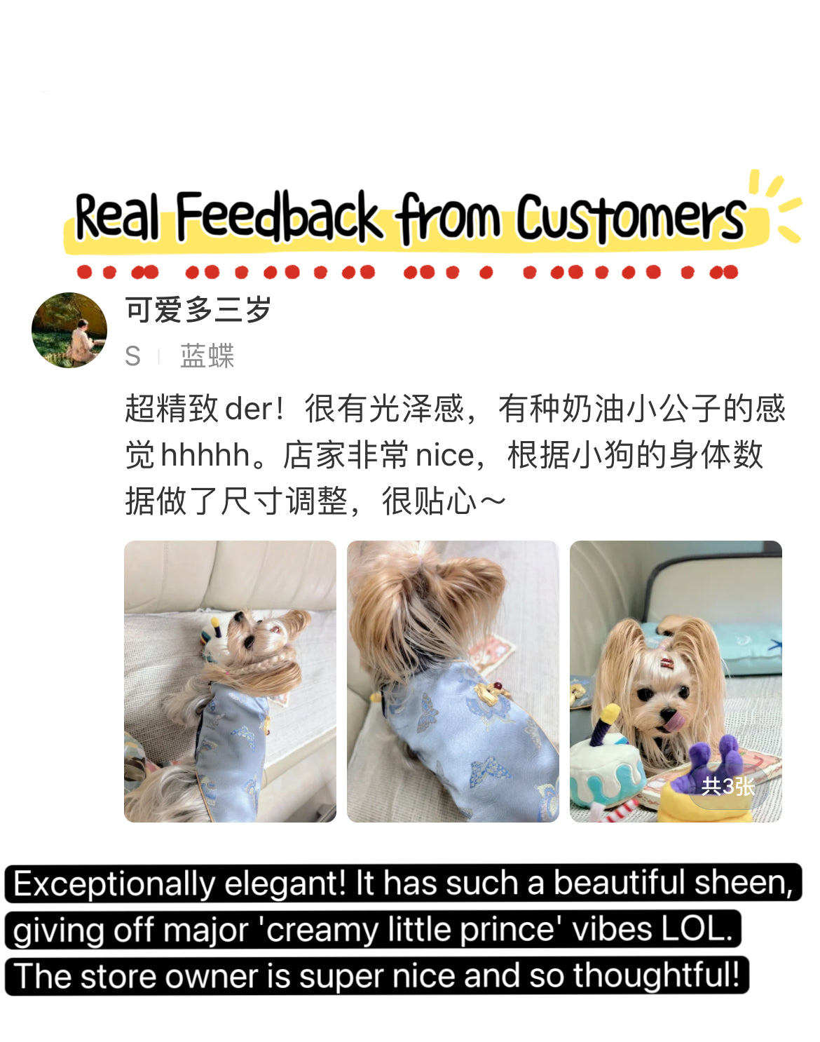 ♥Perfect Match~♥ 'Butterfly Perched on Bamboo' Neo-Chinese Style high-quality vest, unisex for cats and dogs,Hand-made/Matching Set