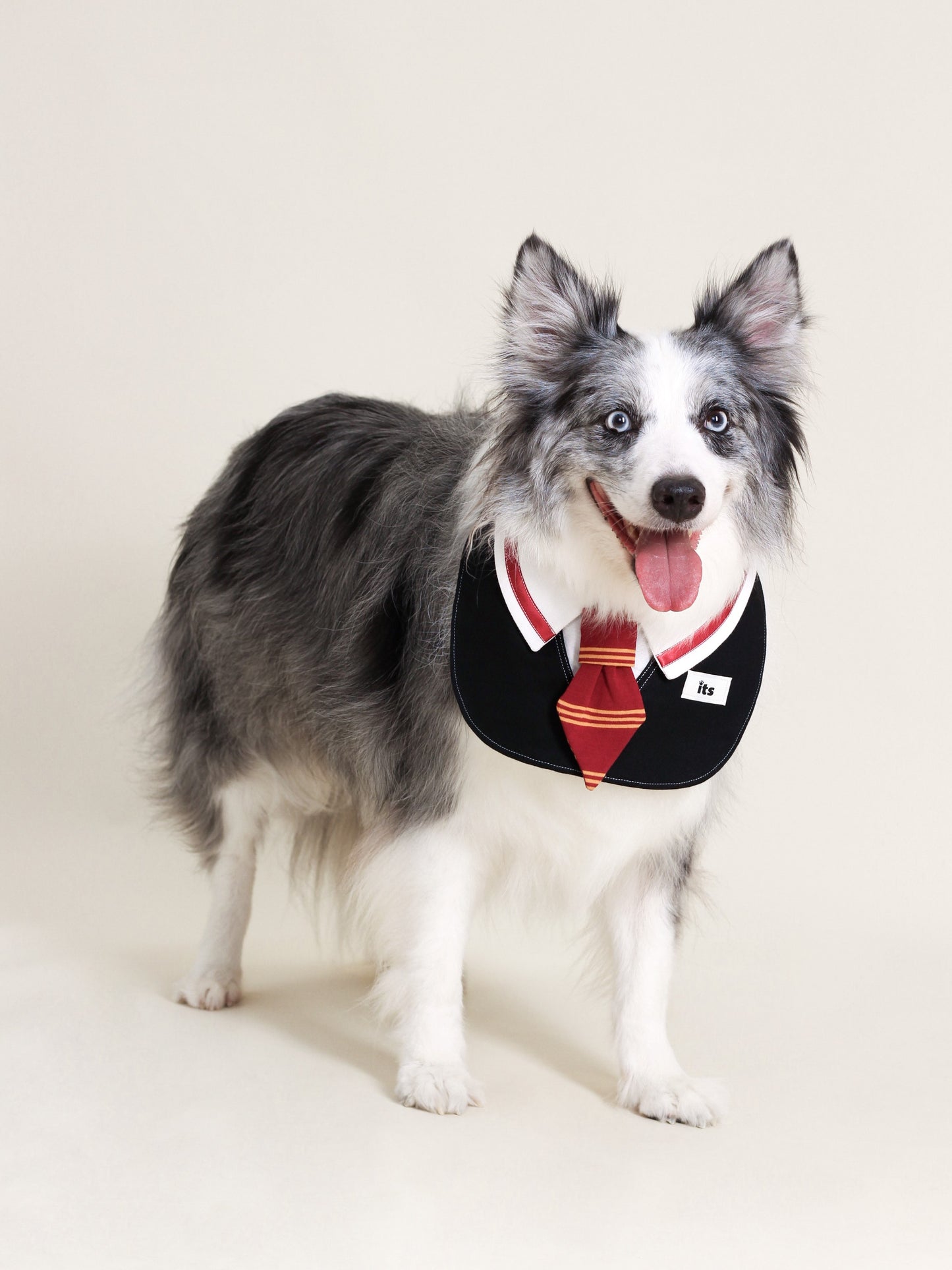 ♥College Red♥ Drool Bib with College Style