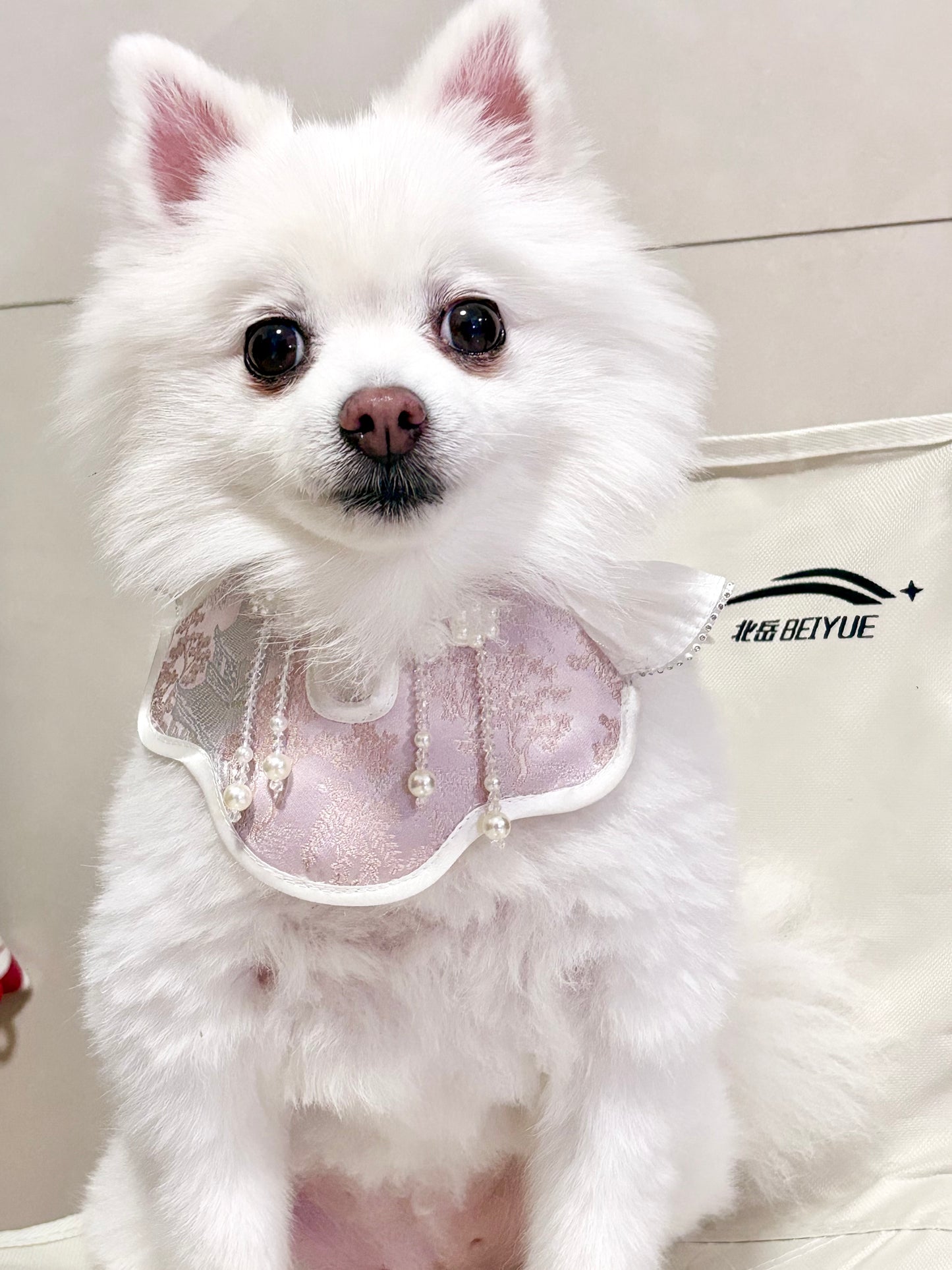 ♥Oh My Angel~♥ 'Rippling Cloud' Neo-Chinese Style Cat and Dog Shawls & Drool Bibs, Hand-made/Limited Edition