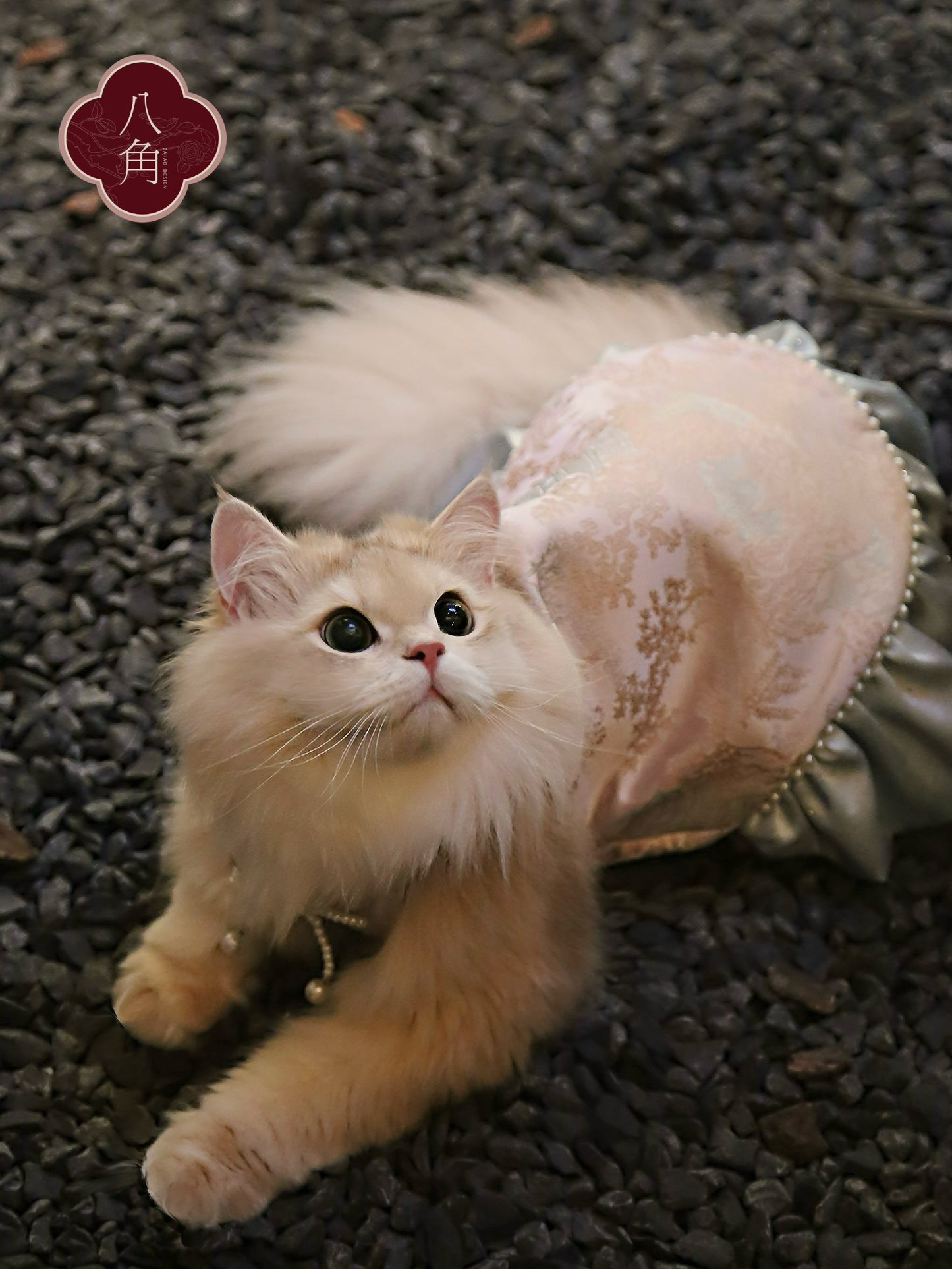 ♥Go for a Picnic~♥ Neo-Chinese Style Dress for Cats and Dogs, Hand-made/Hanfu/Outing Outfit