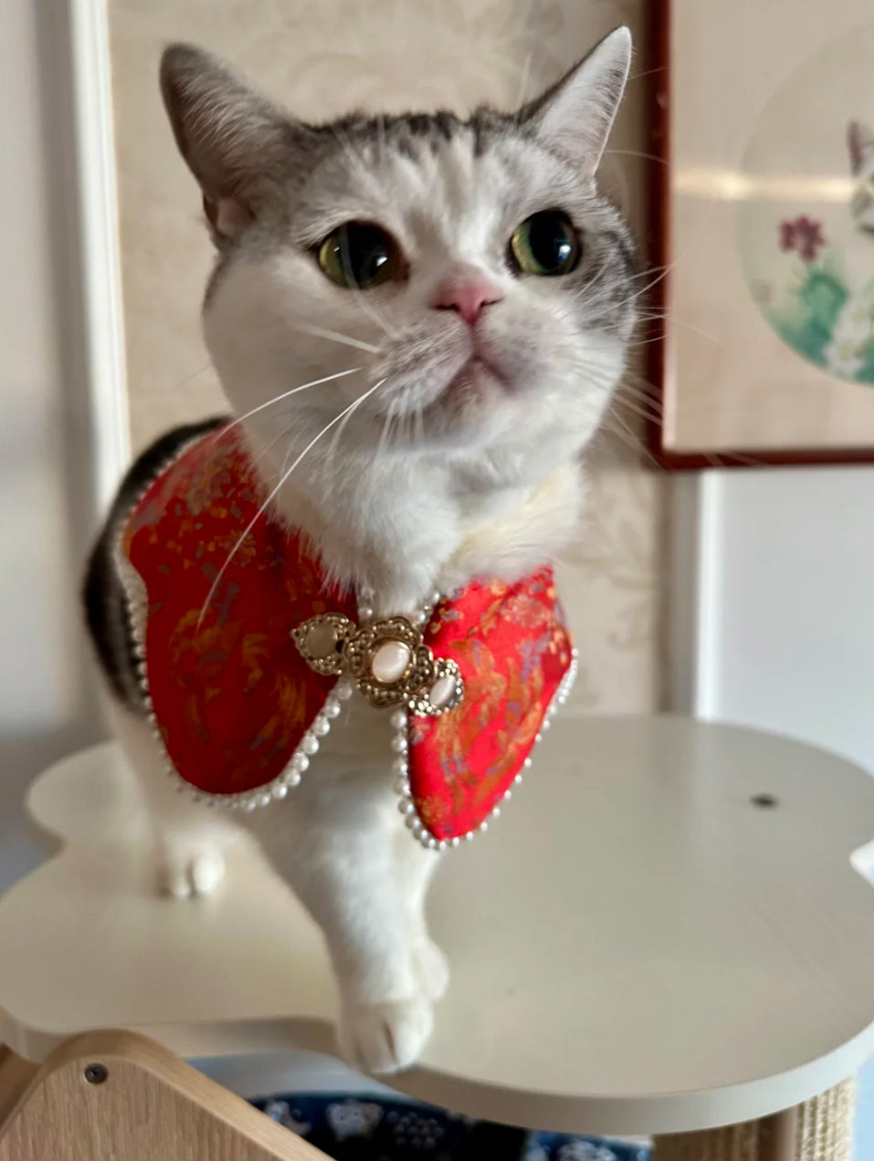 ♥Queen's Arrival~♥ Neo-Chinese Style Cat & Dog Cloud Collar Bib, Hand-made/Limited Edition