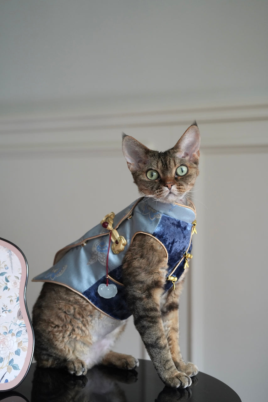 ♥Perfect Match~♥ 'Butterfly Perched on Bamboo' Neo-Chinese Style high-quality vest, unisex for cats and dogs,Hand-made/Matching Set