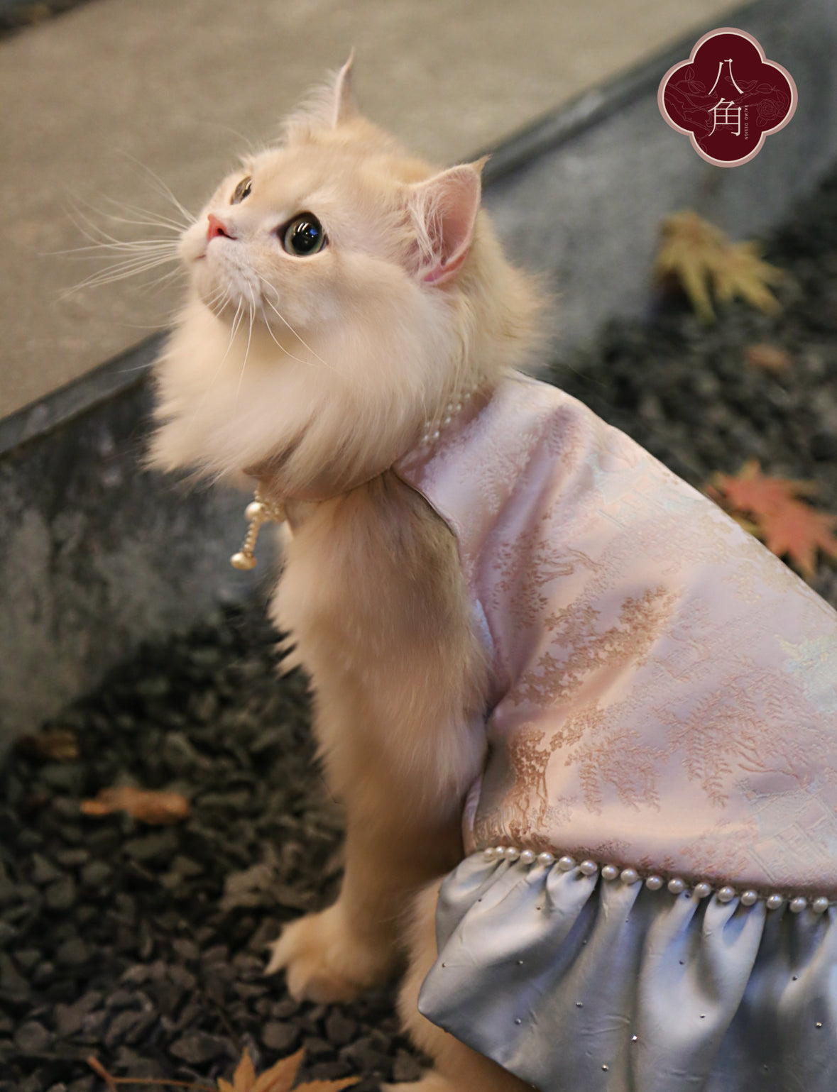 ♥Go for a Picnic~♥ Neo-Chinese Style Dress for Cats and Dogs, Hand-made/Hanfu/Outing Outfit