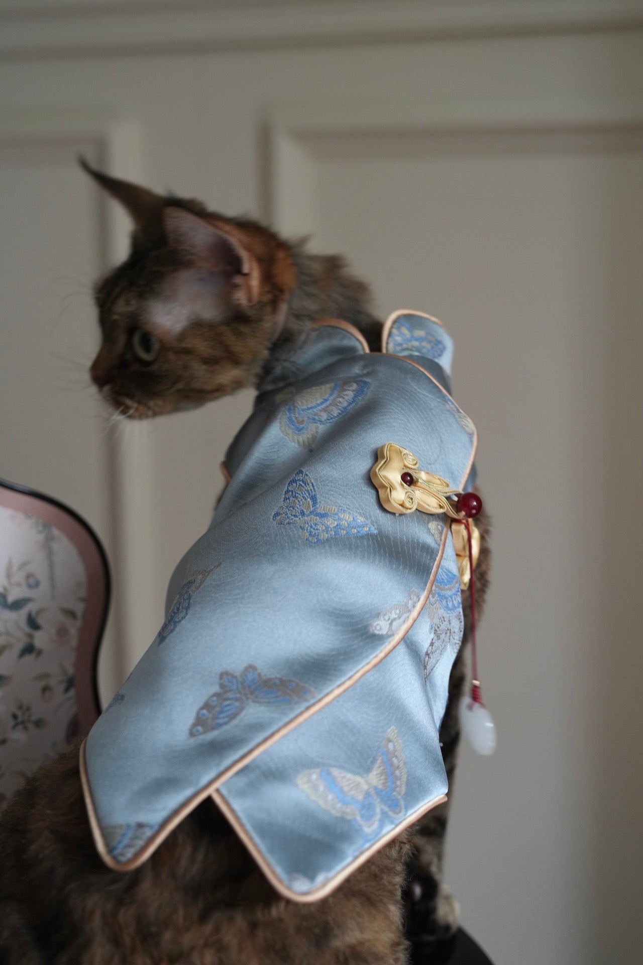 ♥Perfect Match~♥ 'Butterfly Perched on Bamboo' Neo-Chinese Style high-quality vest, unisex for cats and dogs,Hand-made/Matching Set