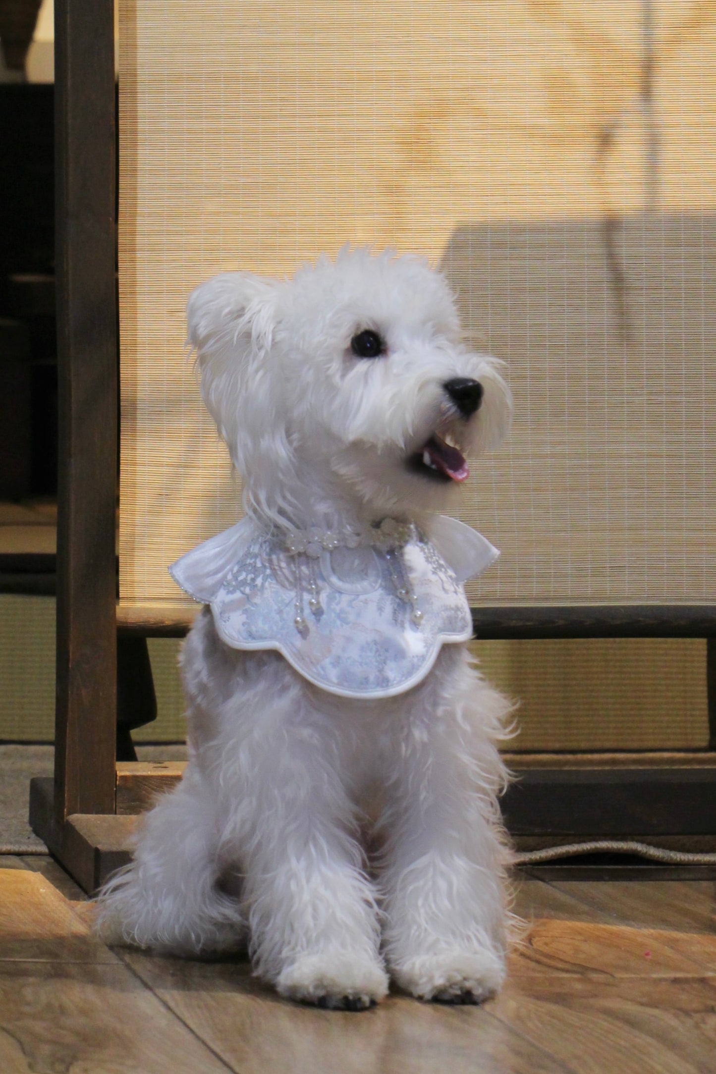 ♥Oh My Angel~♥ 'Rippling Cloud' Neo-Chinese Style Cat and Dog Shawls & Drool Bibs, Hand-made/Limited Edition
