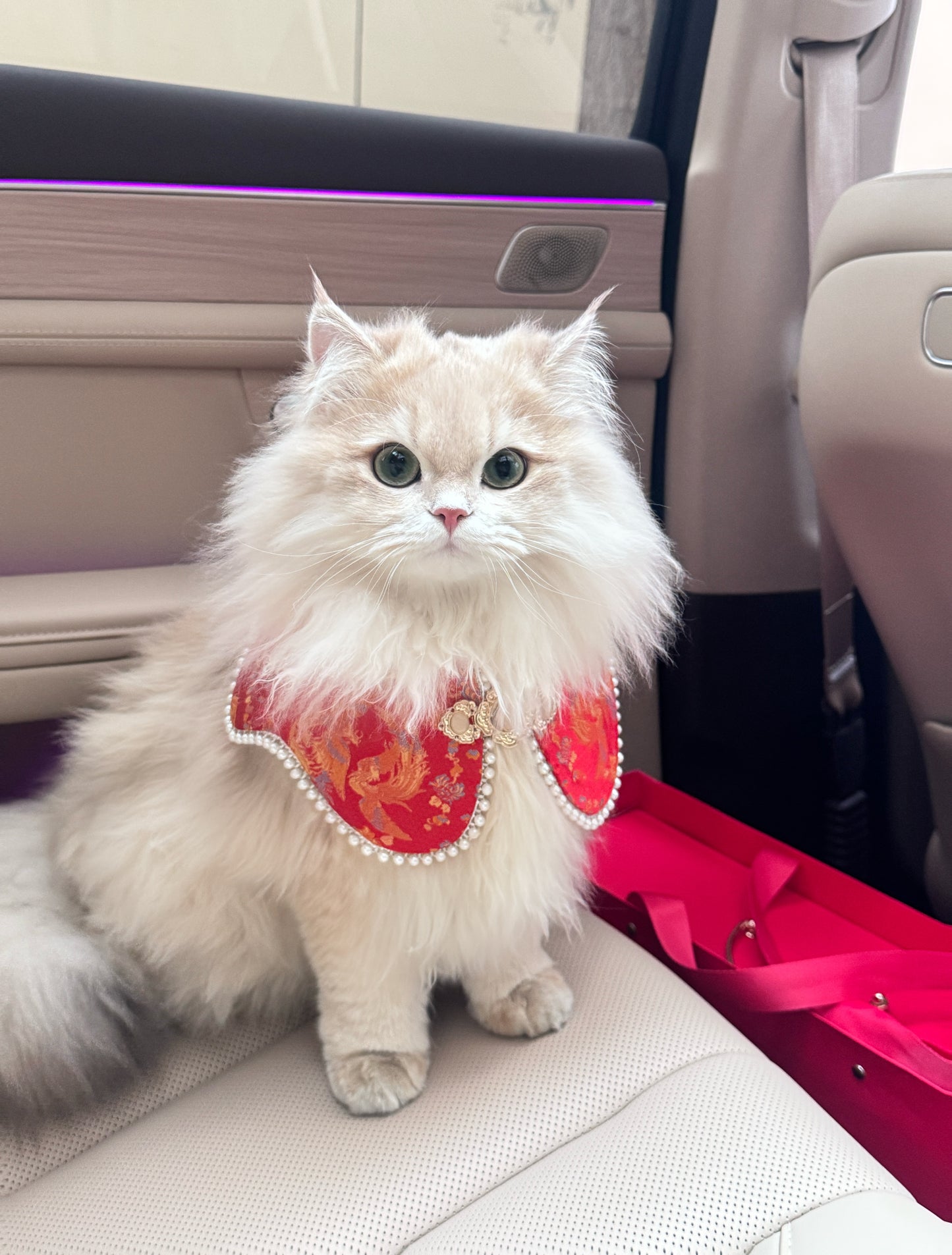 ♥Queen's Arrival~♥ Neo-Chinese Style Cat & Dog Cloud Collar Bib, Hand-made/Limited Edition