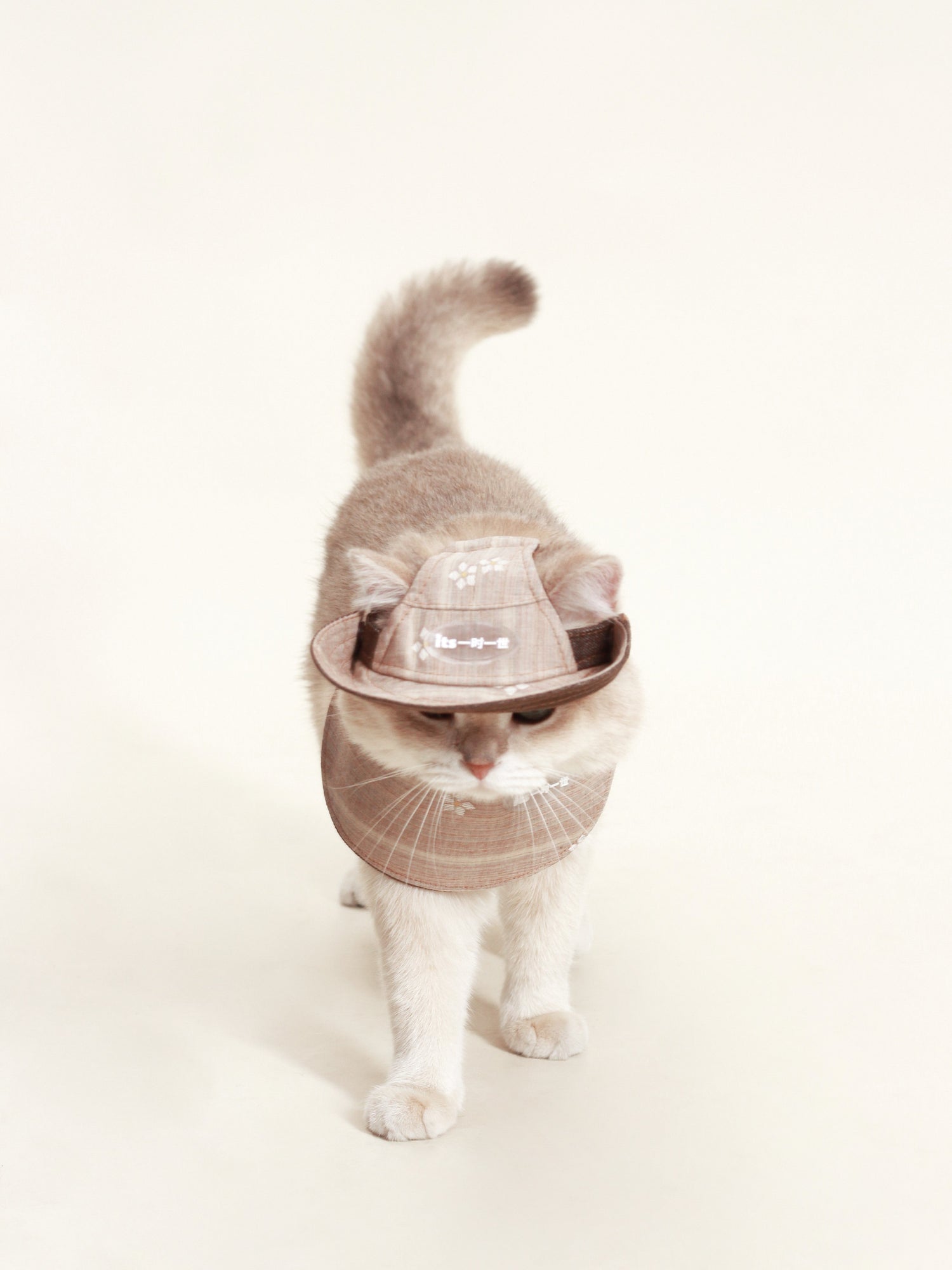 ITS: Adorable Costume for Home or Outdoor