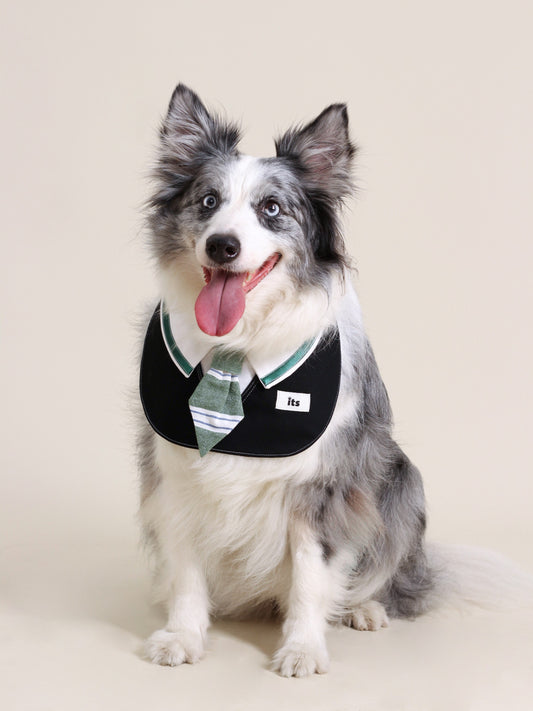 ♥College Green♥ Drool Bib with College Style