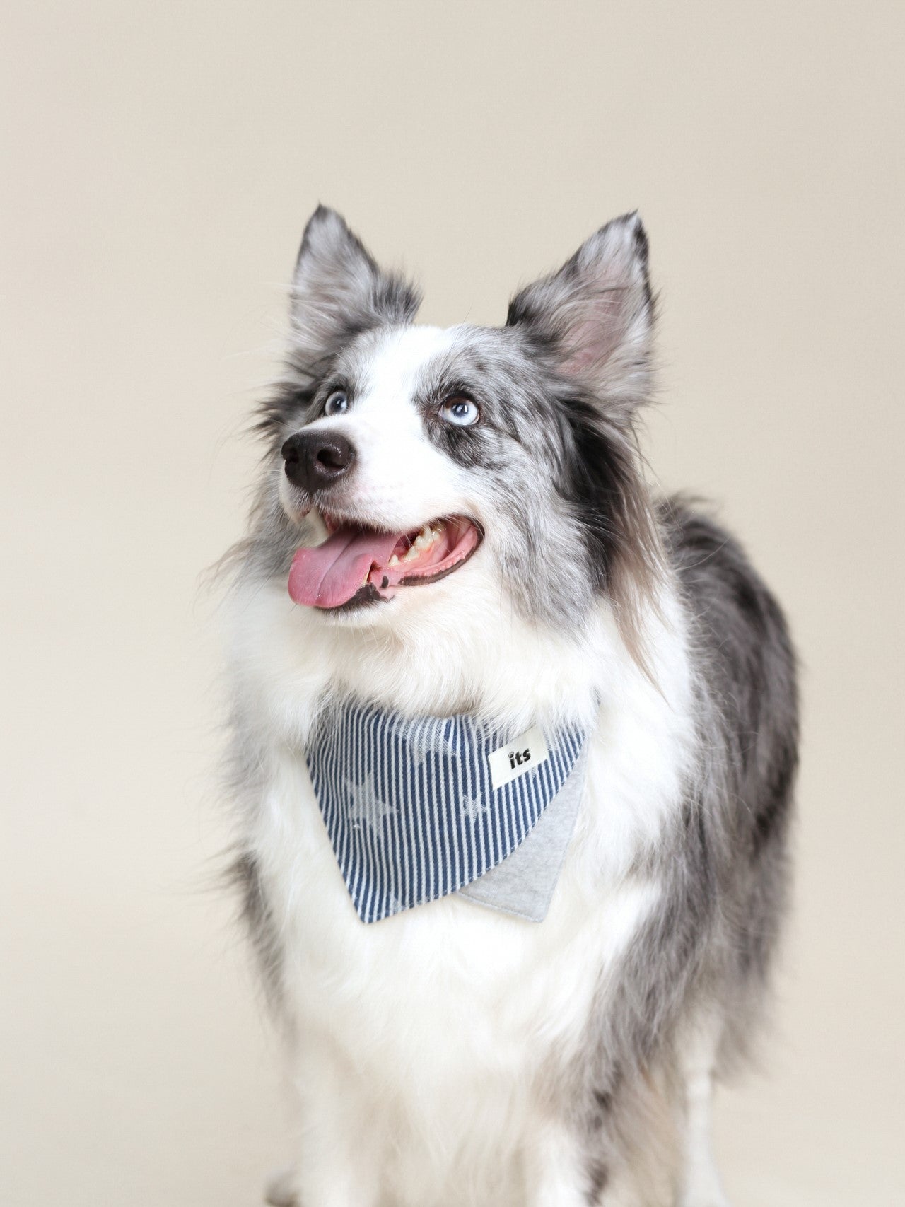♥Baseball Caddy♥ Outdoor Hat & Drool Bib with Strips & Stars
