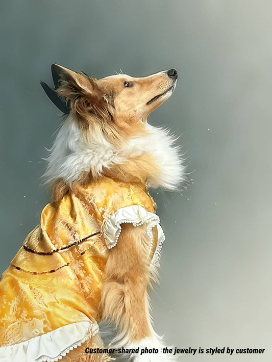 Money Drawing Attire: Neo-Chinese Style clothes for dogs & cats,unique outfits with luck blessing