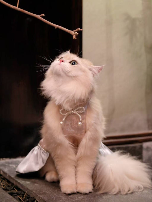 Go for a Picnic: Neo-Chinese Style clothes for dogs and cats, hand-made/party/outing outfit