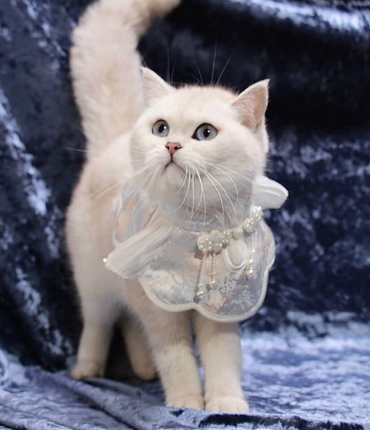 Angel's Rippling Cloud: Neo-Chinese Style costume bandanas, triangular scarves, accessory and collar for dogs & cats, Hand-made/Limited Edition