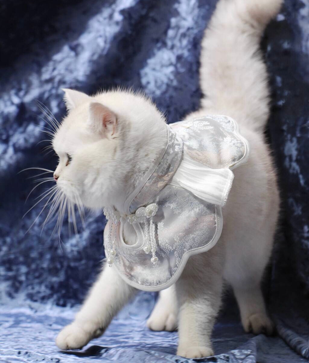 Angel's Rippling Cloud: Neo-Chinese Style costume bandanas, triangular scarves, accessory and collar for dogs & cats, Hand-made/Limited Edition