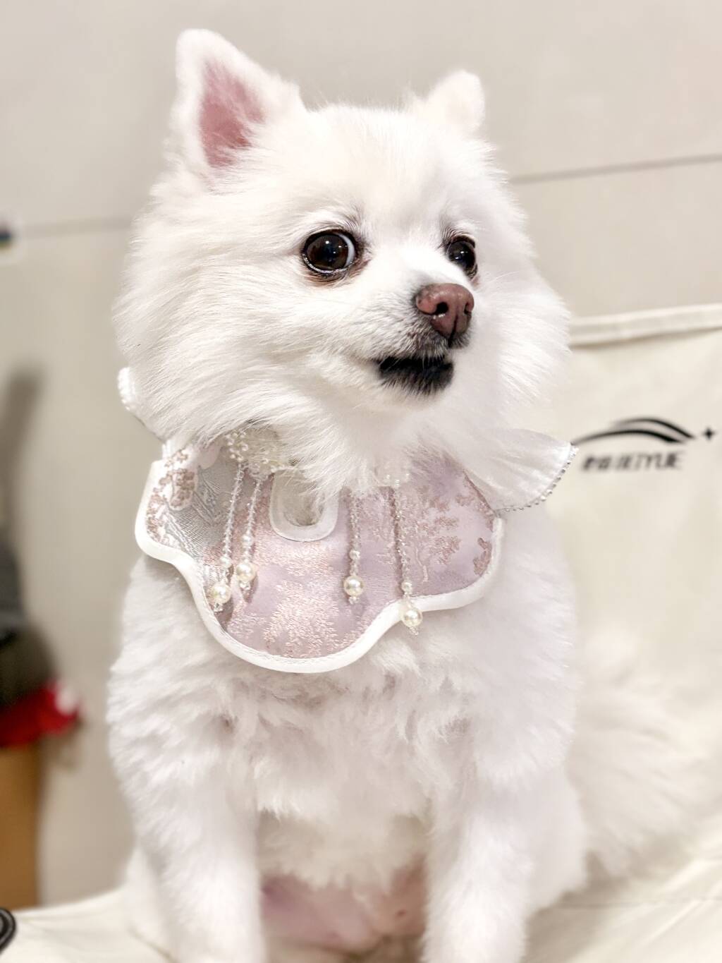 Angel's Rippling Cloud: Neo-Chinese Style costume bandanas, triangular scarves, accessory and collar for dogs & cats, Hand-made/Limited Edition