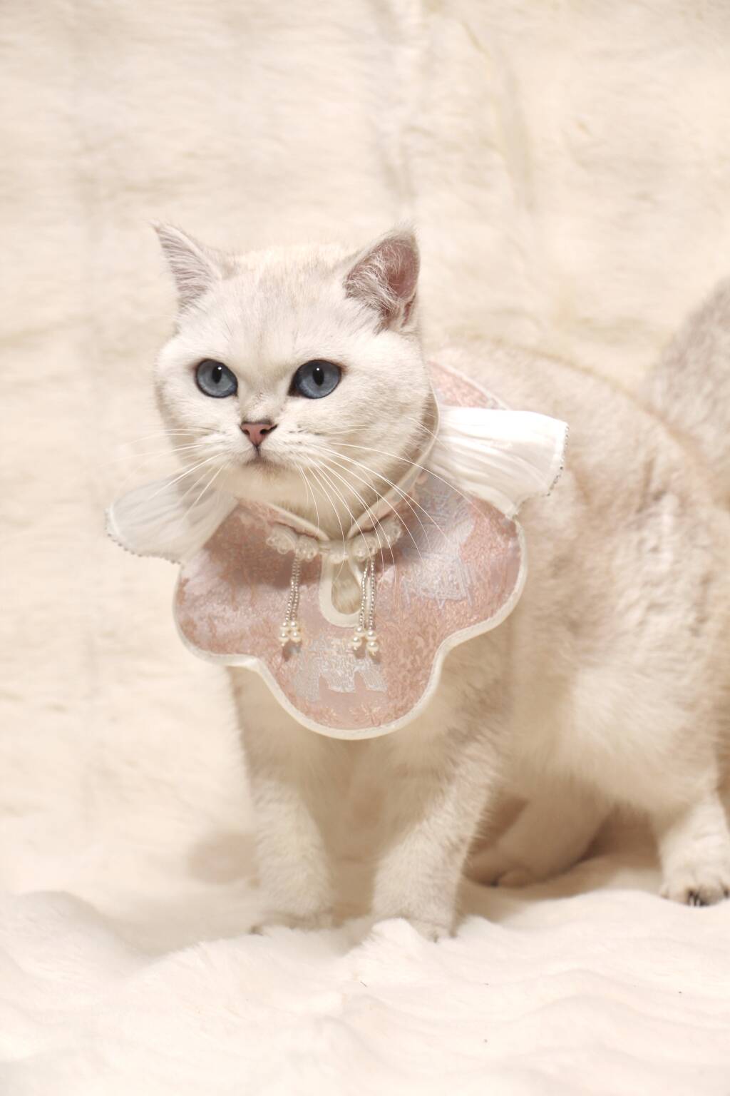 Angel's Rippling Cloud: Neo-Chinese Style costume bandanas, triangular scarves, accessory and collar for dogs & cats, Hand-made/Limited Edition