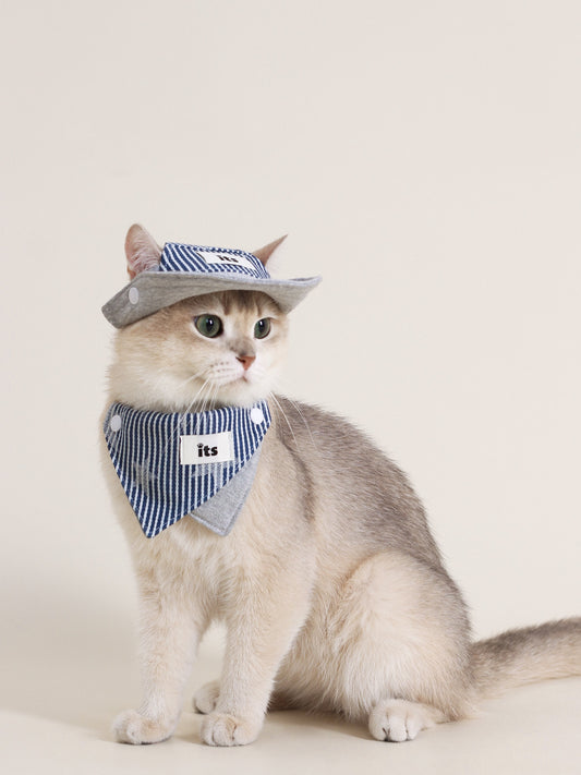 ♥Baseball Caddy♥ Outdoor Hat & Drool Bib with Strips & Stars