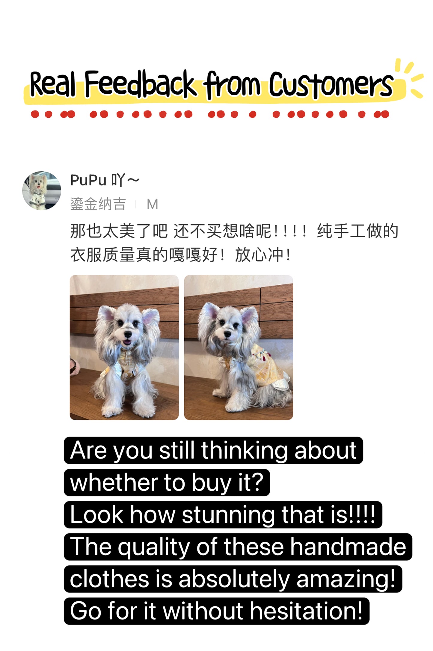 ♥Money Money Come to Me~♥ 「Auspicious Gilt」Prosperity Attire: Neo-Chinese Style Cat & Dog Apparel,Feng Shui-Inspired/Hand-made/Limited Edition