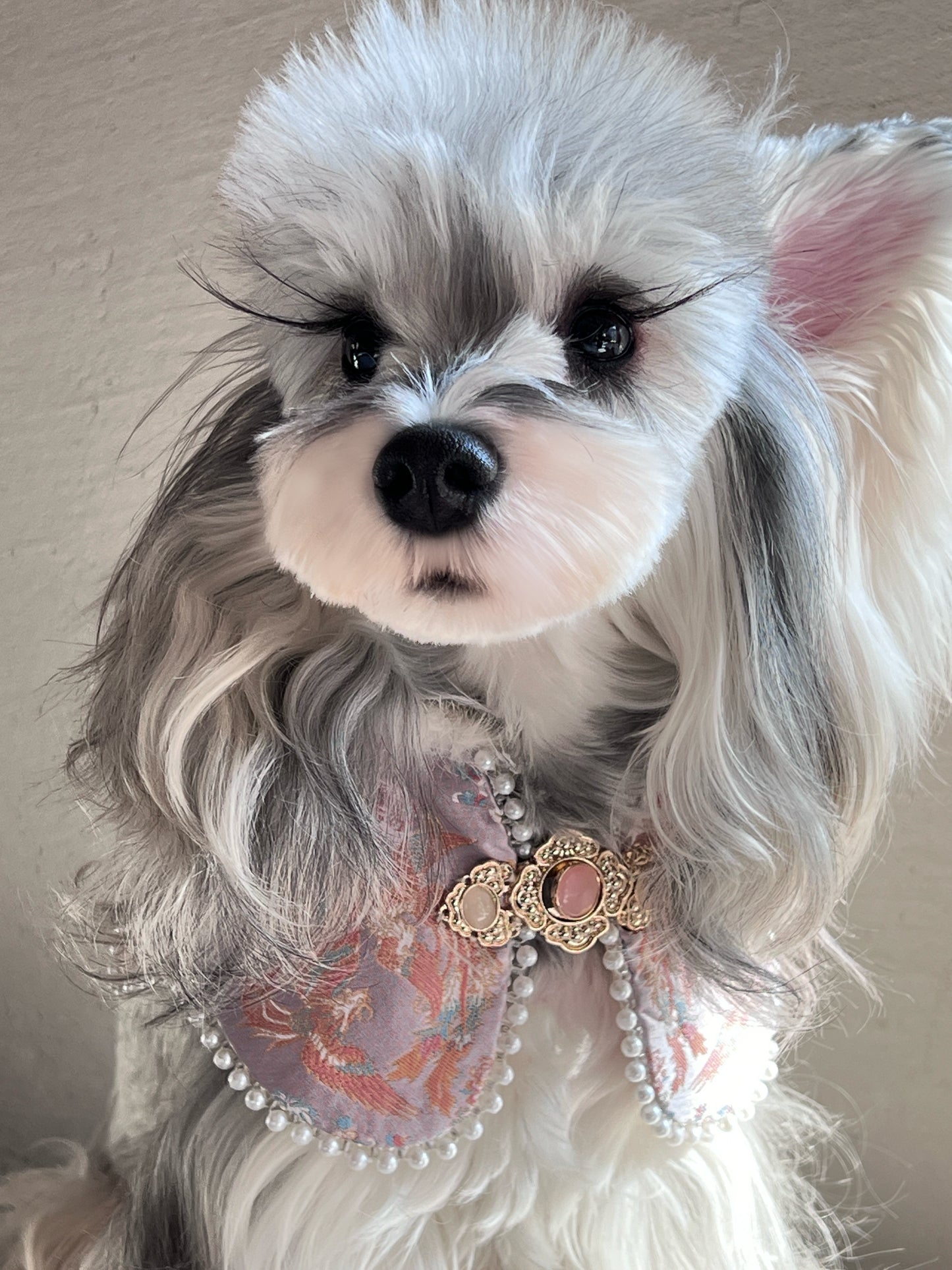 ♥Queen's Arrival~♥ Neo-Chinese Style Cat & Dog Cloud Collar Bib, Hand-made/Limited Edition