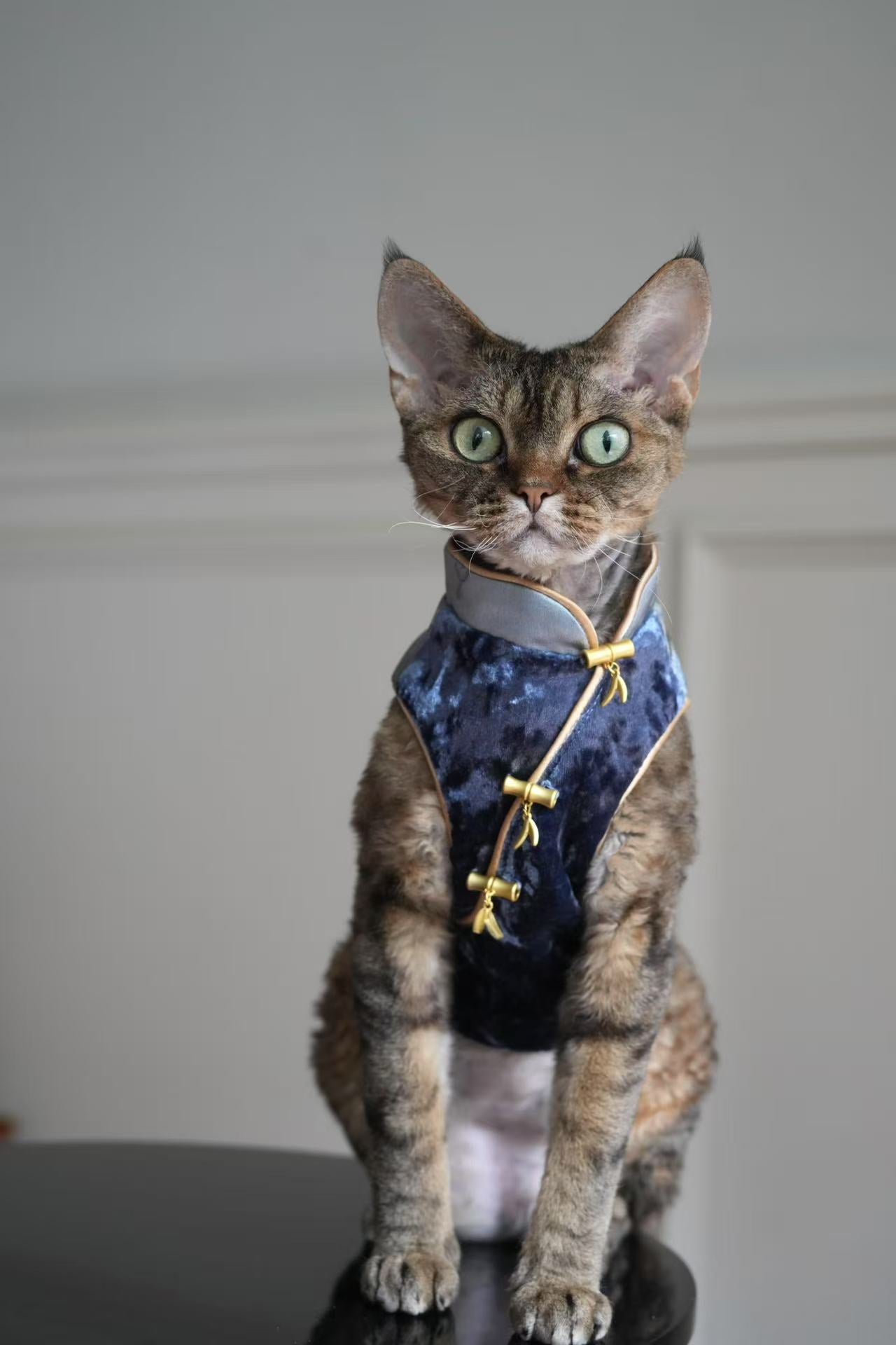 ♥Perfect Match~♥ 'Butterfly Perched on Bamboo' Neo-Chinese Style high-quality vest, unisex for cats and dogs,Hand-made/Matching Set