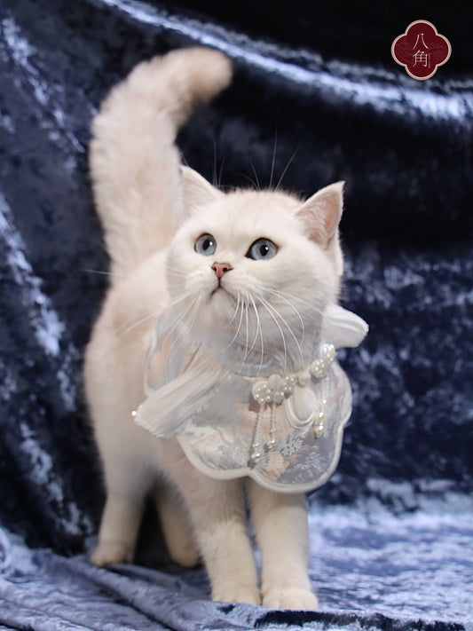♥Oh My Angel~♥ 'Rippling Cloud' Neo-Chinese Style Cat and Dog Shawls & Drool Bibs, Hand-made/Limited Edition