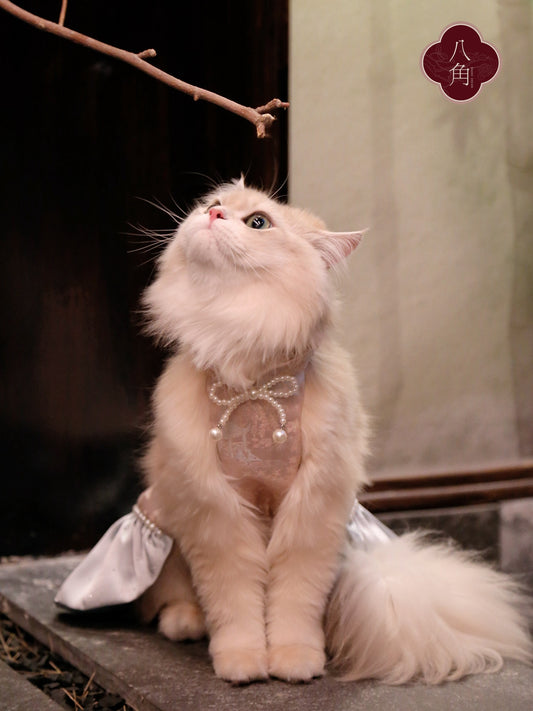 ♥Go for a Picnic~♥ Neo-Chinese Style Dress for Cats and Dogs, Hand-made/Hanfu/Outing Outfit